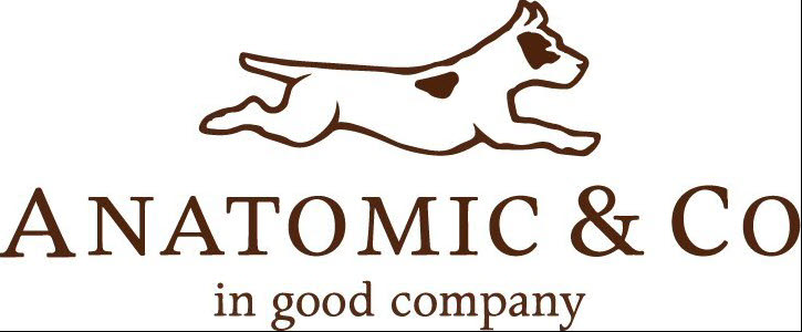 Anatomic Gel Shoes